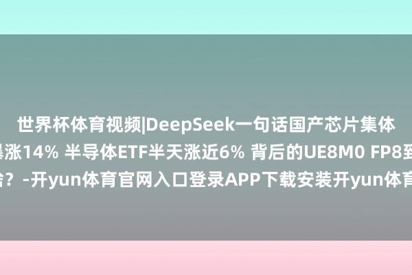 世界杯体育视频|DeepSeek一句话国产芯片集体暴涨！寒武纪盘中暴涨14% 半导体ETF半天涨近6% 背后的UE8M0 FP8到底是啥？-开yun体育官网入口登录APP下载安装开yun体育官网入口登录APP下载官方版
