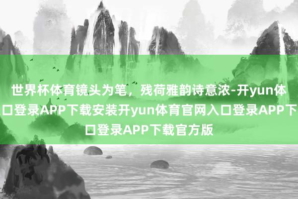 世界杯体育镜头为笔，残荷雅韵诗意浓-开yun体育官网入口登录APP下载安装开yun体育官网入口登录APP下载官方版