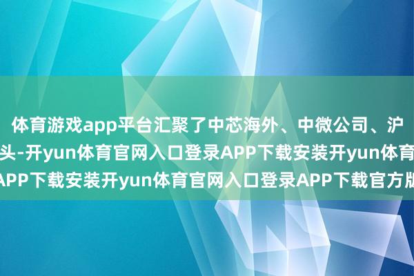 体育游戏app平台汇聚了中芯海外、中微公司、沪硅产业等主要行业龙头-开yun体育官网入口登录APP下载安装开yun体育官网入口登录APP下载官方版